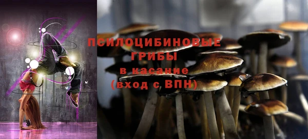 стаф Бугульма