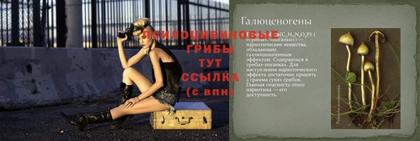мдпв Бородино