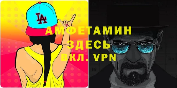мдпв Бородино