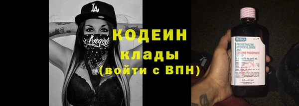 мдпв Бородино
