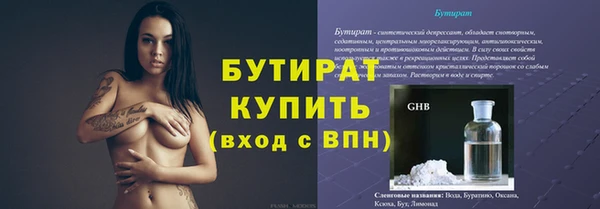 мдпв Бородино