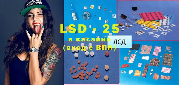 мдпв Бородино