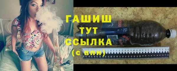 мдпв Бородино