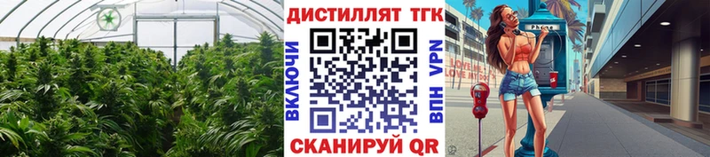 как найти закладки  Коломна  Дистиллят ТГК THC oil 