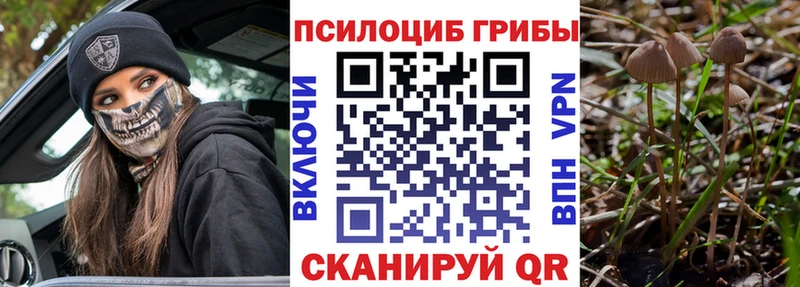 купить наркотик  MEGA как зайти  Псилоцибиновые грибы GOLDEN TEACHER  Коломна 